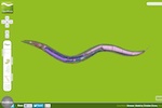 Virtual Worm (OpenWorm)