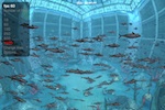 WebGL Aquarium
